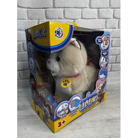 КОШЕНЯ 55 G-8